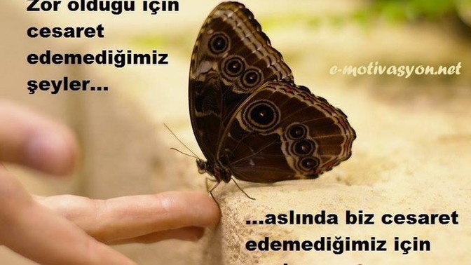 Seneca'nın bu görüşü hakkında ne düşünüyorsunuz?