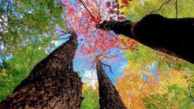 Gökyüzüne baktığınızda iç dünyanızı huzur mu kaplar hüzün mü?
