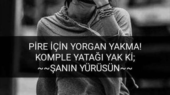 Pireye kızıp yorgan yakacak sinire sahip misiniz yoksa sakin bir kişiliğiniz mi var?