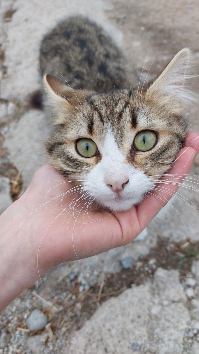 Erkek Kız kanka olur mu sizce? Ve ne kadar devam eder?