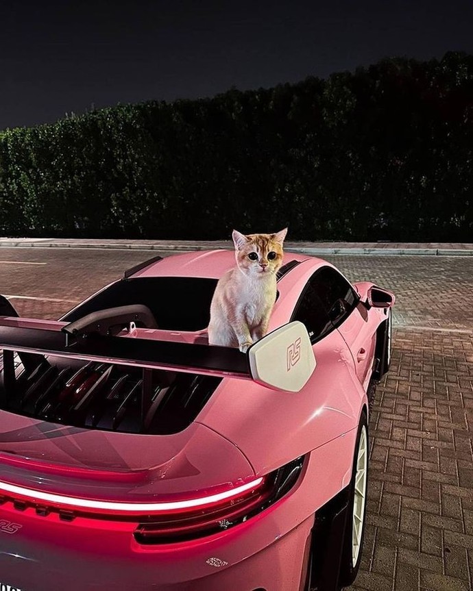 Porsche marka arabaya sahip olanlar neden hep kadındır?
