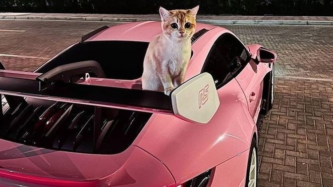 Porsche marka arabaya sahip olanlar neden hep kadındır?