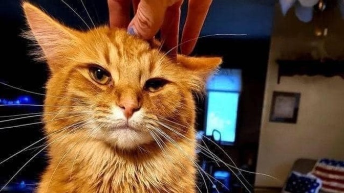 Eski sevgilin hangi konuda ‘beceriksizdi’?