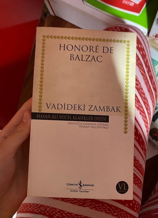 Vadideki Zambak Kitabını Hiç Okudunuz Mu?