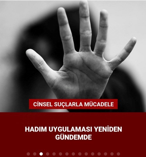 Sizce kimyasal hadım yöntemi kadın cinayetlerini çözer mi?