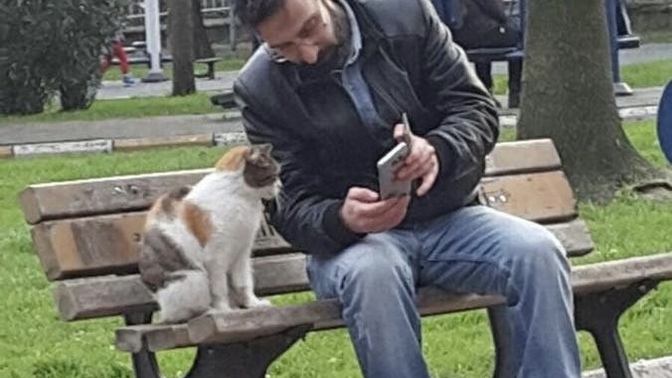 Bişey izlerken yanında birisi olsun istiyor musunuz yoksa tek mi izliyorsunuz?