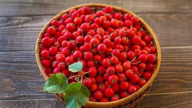 Alıç sever misiniz, hic yediniz mi?