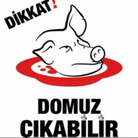 Köfteci Yusuf hakkında neler düşünüyorsunuz yemek yemeğe gidicek misiniz?