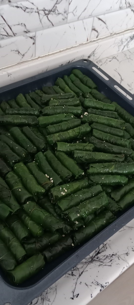 Dolma sardım bana neden kupa veya madalya 🏅 vermiyorsunuz?