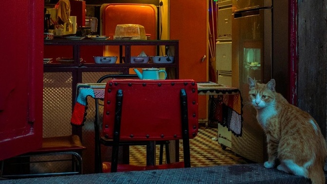 Bir sanat eseri, yaratıcısının niyetinden bağımsız olarak farklı şekillerde yorumlanabilir mi?