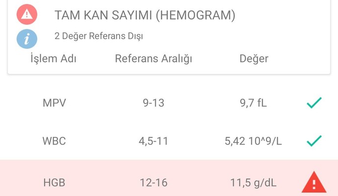 Bunlar ne demek?