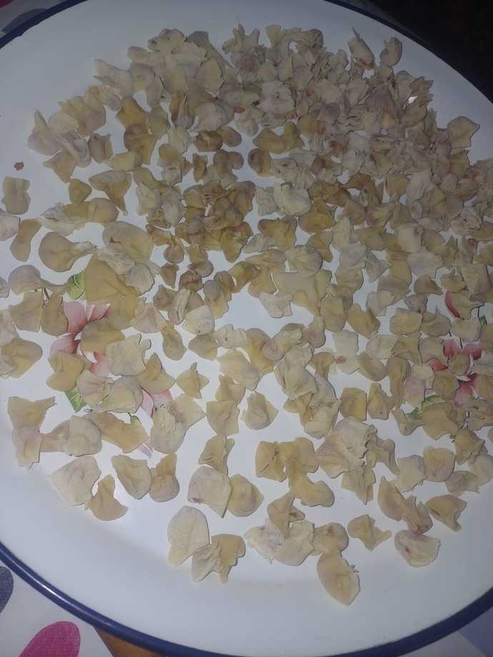 Mantı açanız var mıdır?