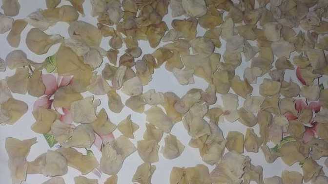 Mantı açanız var mıdır?