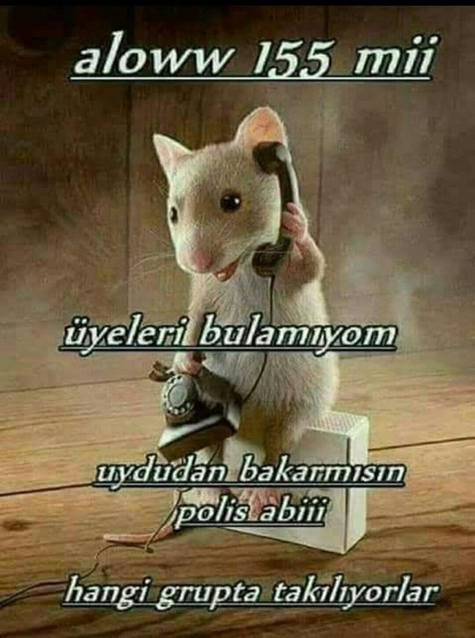 Bugün nasılsın işler nasıl gidiyor?
