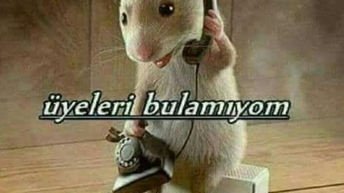 Bugün nasılsın işler nasıl gidiyor?