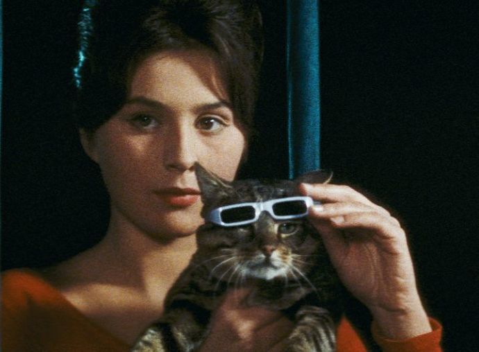 Film izlerken evcil hayvanınızın sizinle oynamaya çalışması size filmi kapattırır mı?