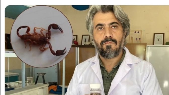 Yeni akrep türüne eşinin ismini verdi. Eşini övüyor mu gömüyor mu bu durumda?