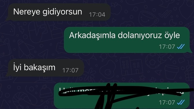Sizce eski sevgilim mi daha hevesli konuşmuş ben mi?
