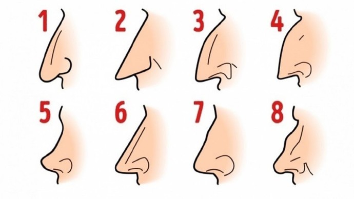 Burun şekliniz hangisi👃?
