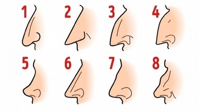 Burun şekliniz hangisi👃?