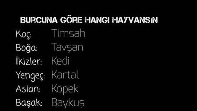 Burcuna göre hangi hayvansın?