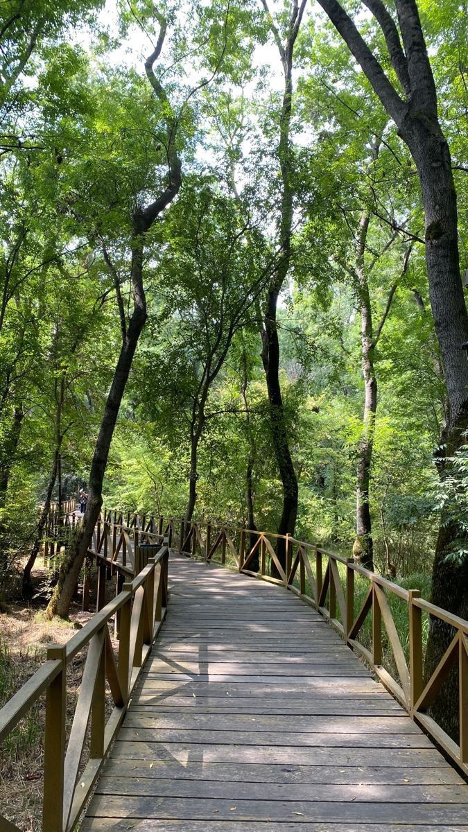 En Son Gezmek İçin Nereye Gittiniz?