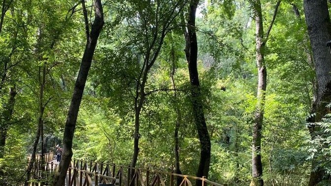 En Son Gezmek İçin Nereye Gittiniz?