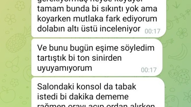 Evli arkadaşım eşinin annesinin izinsiz konsolu ve buzdolabını açmasından rahatsız oluyormuş sizce de çok abartmıyor mu?