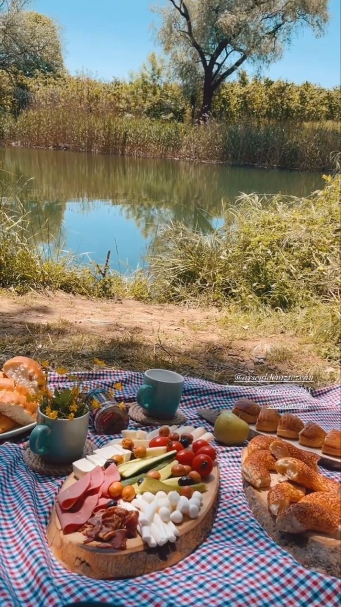 İlk Buluşma İçin Ormanda Piknik Olur mu?