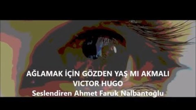 Şiir seslendirmelerini sevdiğiniz/ beğendiğiniz kişiler var mı?