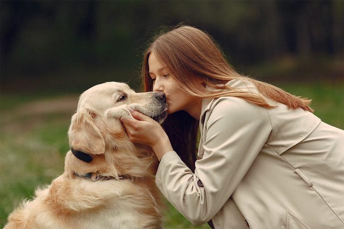 Köpekler insan duygularını gerçekten anlar mı?