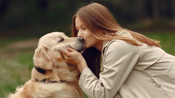 Köpekler insan duygularını gerçekten anlar mı?