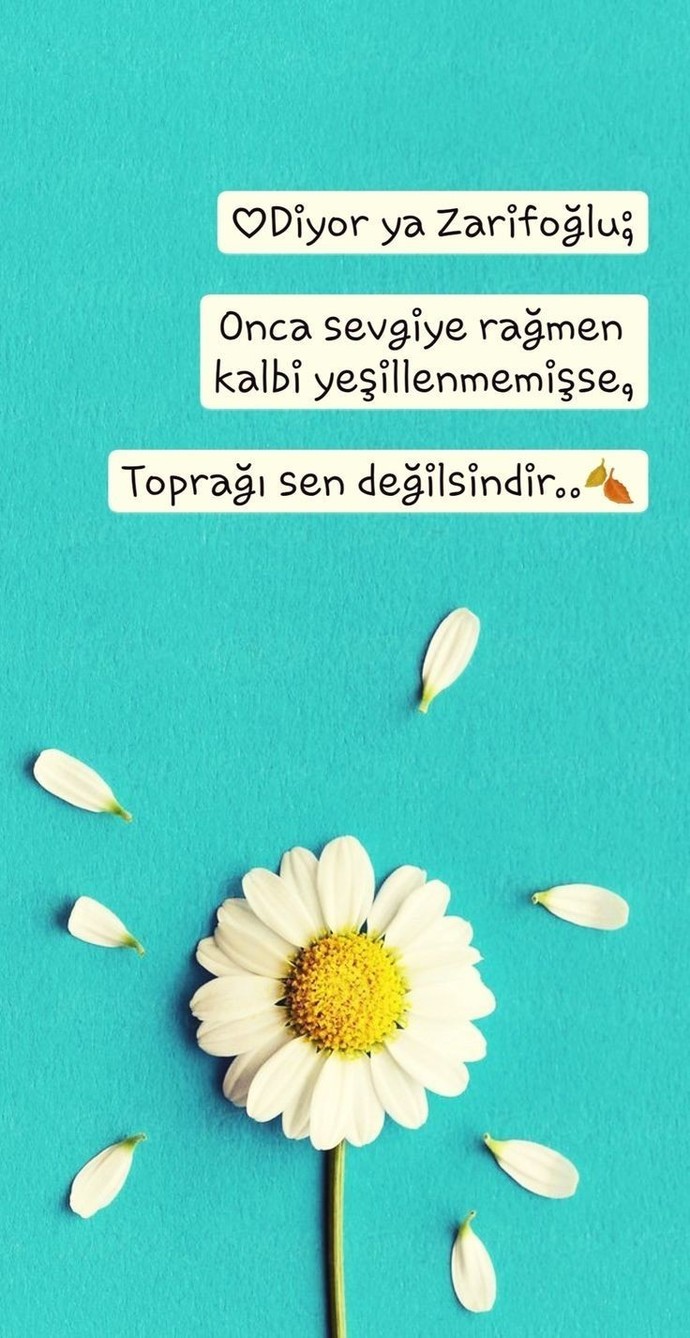 Sevilmekten yana şanslı mısın?