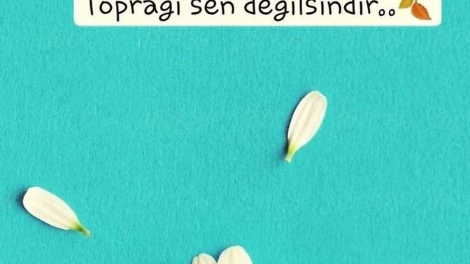 Sevilmekten yana şanslı mısın?