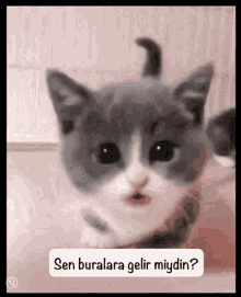 Sizin de omzunuz tükenmişlik sendromuna yakalandı mı 🤣?