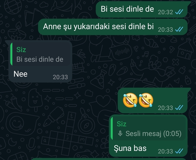 Direniş 1