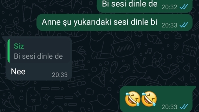 Aile büyükleriniz whatsapp kullanmayı biliyor mu 🤣?