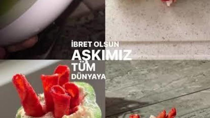 Bibere labne ve cips sokma akımı nın yerini hangi akım aldı?