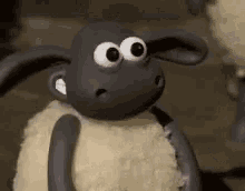 Verdiğiniz akıl sizde işe yarıyor mu?