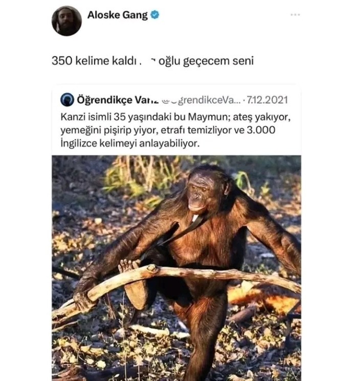 Hala ingilizce bilmeyen var mı?
