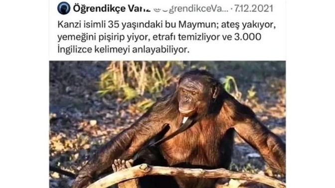 Hala ingilizce bilmeyen var mı?