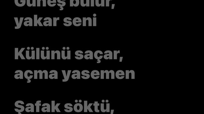 Şu an ne dinliyorsunuz ya da  ne tür dinlersiniz?