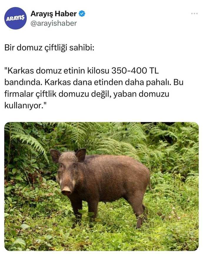 En son aldığınız fotoğraf nedir?