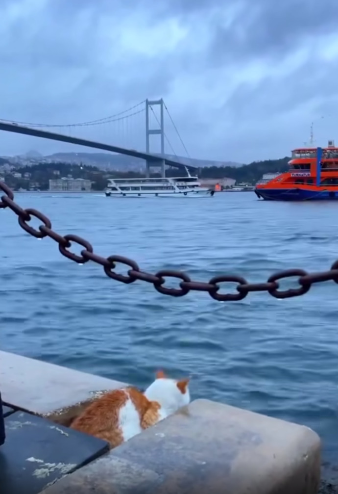 Tek başınıza vakit geçirmekten keyif alırmısınız?