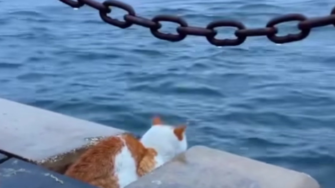 Tek başınıza vakit geçirmekten keyif alırmısınız?