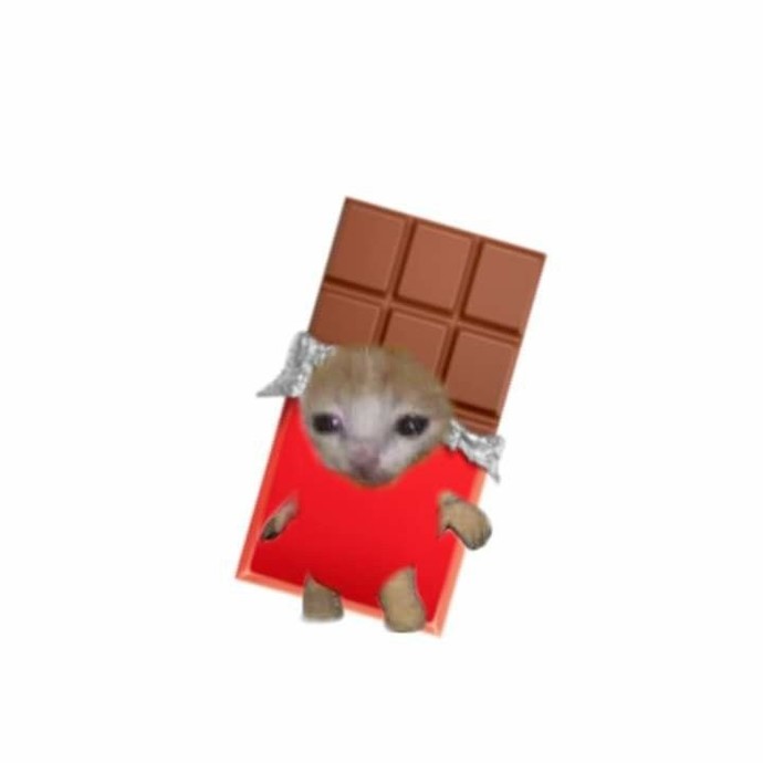 Ailem beni nasıl görüyordur puahdjsb👆