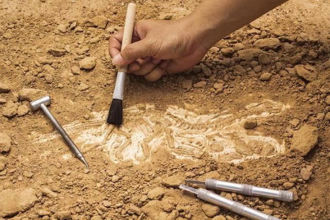 Yedikule Hisarı’nda çocuklara arkeoloji atölyesi! Arkeolojiyi sever misin?