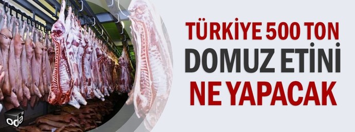 Tek parti döneminde domuz çiftliği kurulmuş. haberiniz var mı?