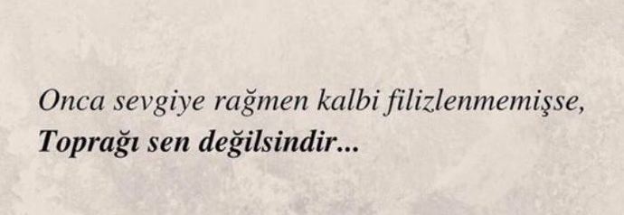Beni sevmeyen birine 3 senemi harcadım enayi miyim?