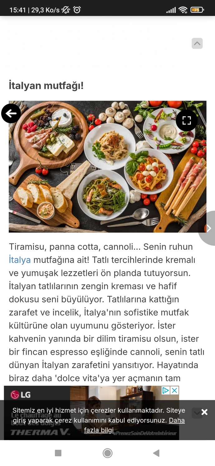 Sen hangi ülkenin mutfağında yaşarsın?